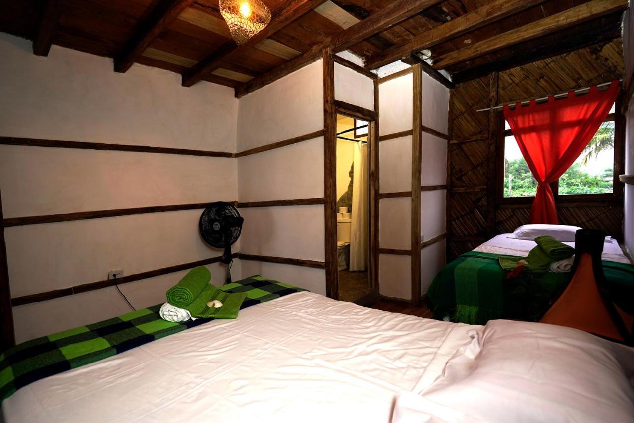 Hostal Olmito Canoa Exteriér fotografie